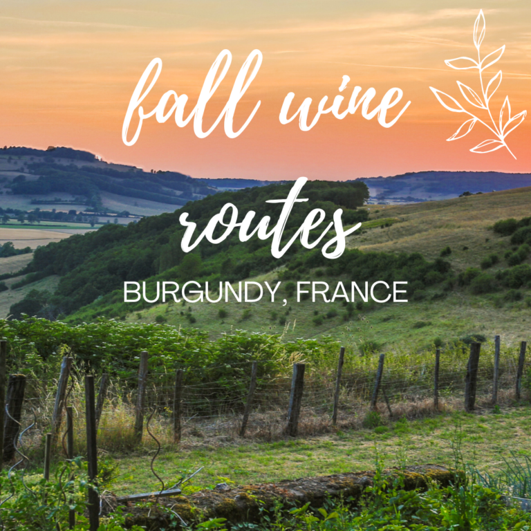 Fall Wine Routes: Burgundy, France