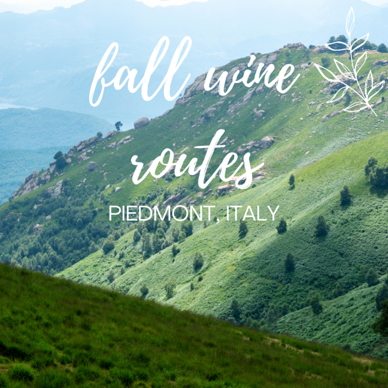 Fall Wine Routes: Piedmont, Italy